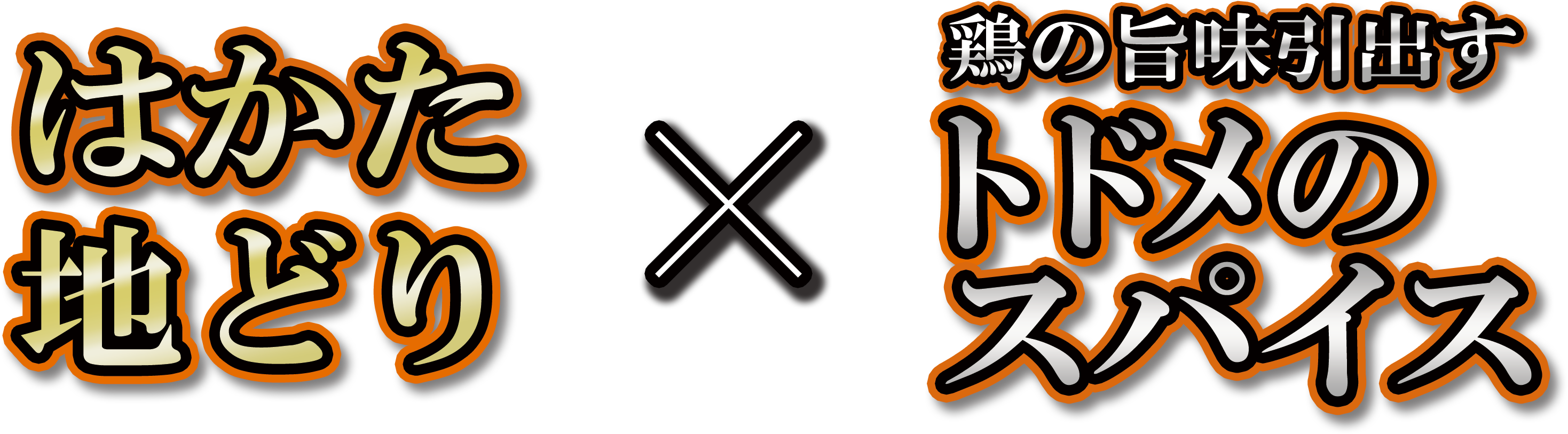 はかた地どり×トドメのスパイス